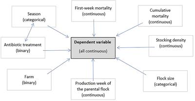 Data evaluation of broiler chicken rearing and slaughter—An exploratory study